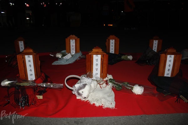 거리, 시설, 쪽방 등지에서 돌아간 홈리스를 추모하는 홈리스 추모제가 동짓날인 22일 서울역 광장에서 열렸다. 홈리스들의 위패에 둘린 목도리와 그 앞에 놓인 꽃 한 송이 