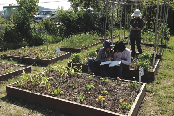 2015년 꿈뜰 텃밭수업하는 모습. ⓒ꿈이 자라는 뜰