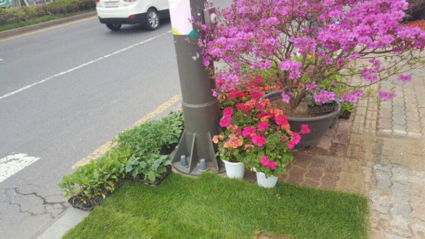 시각장애인이 접근하기 어렵게 설치된 음향신호기. 버튼 누르는 곳이 화단에 가려져 있다. ⓒ한국시각장애인연합회