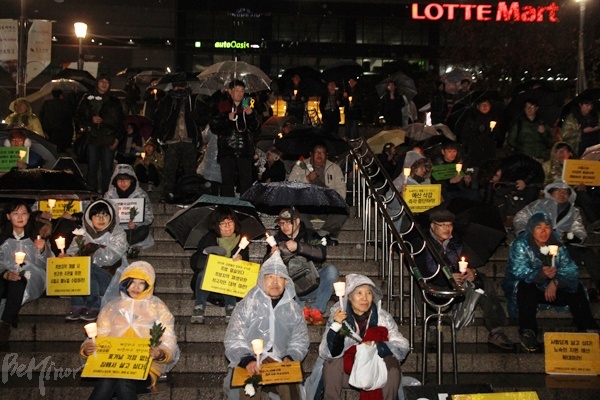 추모제에 참가한 사람들이 촛불과 피켓을 들고 있다.