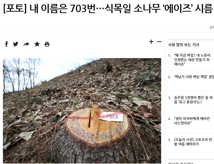 한겨레 뉴스 화면 갈무리