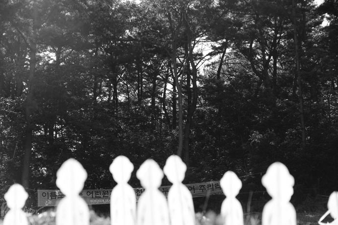 지난 5월 27일 열린 선감학원 위령제. 죽은 아이들이 묻혀 있는 야산에 아이들을 상징하는 종이 인형이 세워져 있다.