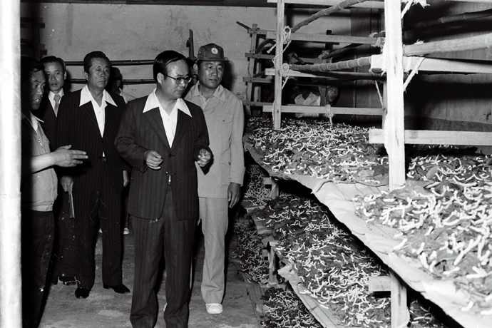 1976년 경기도 관계자가 선감학원 시찰을 하면서 누에창고를 둘러보고 있는 모습 (사진제공: 정진각 안산지역사연구소 소장)