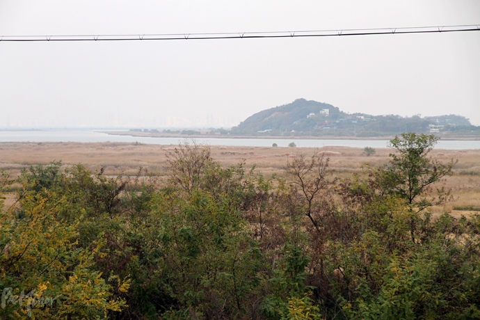 선감도에서 바라본 마산포 방향의 바닷가. 현재는 바다의 상당 부분이 간척사업으로 매립되어 과거 모습을 찾아 볼 수 없다.