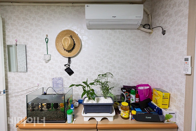 정종삼 씨 방 한쪽에는 화분과 열대어 어항이 있다. 사진 박승원 