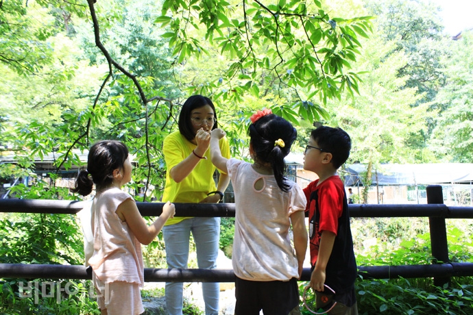 반짝반짝 어린이집 아이들과 교사가 개울에 5분간만 들어갔다 나오겠다는 약속을 하고 있다. 사진 허현덕