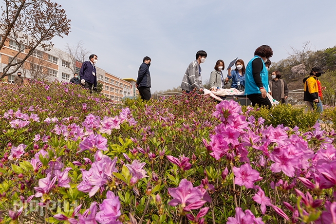투표를 마친 수찬 씨가 장애인 활동가들과 함께 장야초등학교 정문으로 이동하는 모습. 수찬 씨 옆으로 연분홍색 철쭉이 활짝 피어있다. 사진 박승원