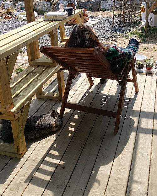 지역에 있는 친구네 집에 갔을 때 여유로운 나의 모습. 요즘은 통증 없이 일상생활을 누리기 위해 10분 체조를 틈틈이 하고 햇볕 쬐기도 시도한다. 사진 박현진 지역에 있는 친구네 집에 갔을 때 여유로운 나의 모습. 요즘은 통증 없이 일상생활을 누리기 위해 10분 체조를 틈틈이 하고 햇볕 쬐기도 시도한다. 사진 박현진