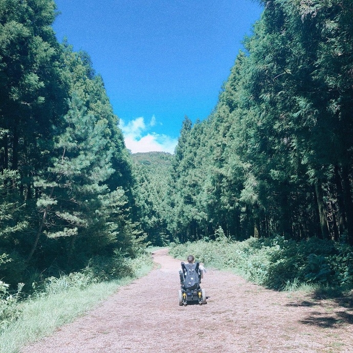 묵묵히 나아가는 삶이 길. 길 양옆으로 침엽수가 길게 늘어서 있다. 그 길에 휠체어를 탄 사람의 뒷모습이 보인다. 사진 오아림