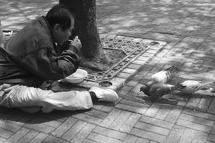 한 사람이 나무 옆 길바닥에 앉아 밥을 먹고 있고, 비둘기들도 옆에서 나란히 식사를 하고 있다. ⓒ최인기