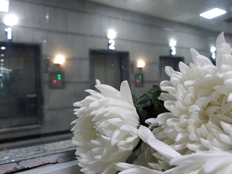 무연고 사망자의 화로 앞에 놓인 국화꽃. 사진 나눔과나눔