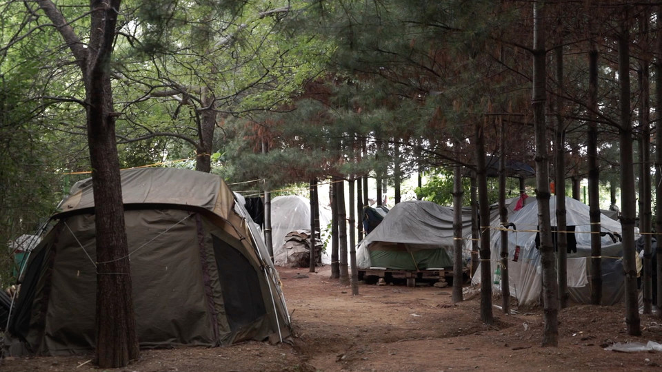 용산역 아래 숲길에 있는 텐트촌. 2017년 여름의 모습이다. 사진 이관택