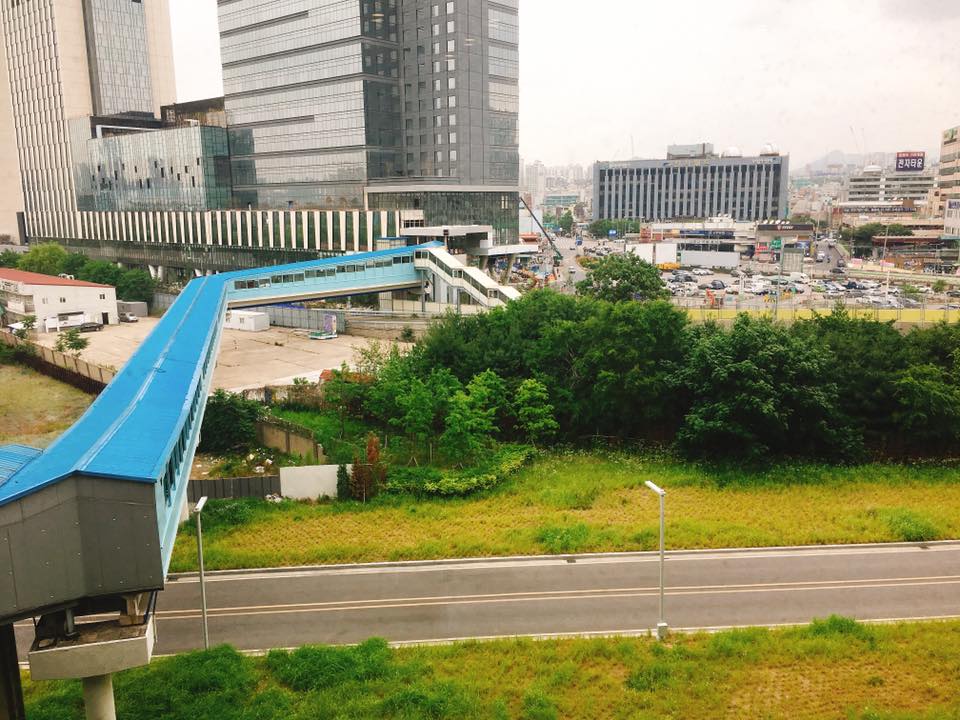 좌측 파란지붕의 다리가 구름다리라 불리는 기존 공중보행교다. 직선이 아니라 한쪽으로 꺾여 있다. 사진 이관택