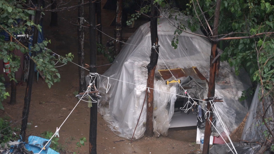 텐트촌 모습. 숲속에 하얀 비닐로 견고하게 지은 텐트 한 동이 있다. 사진 이관택 