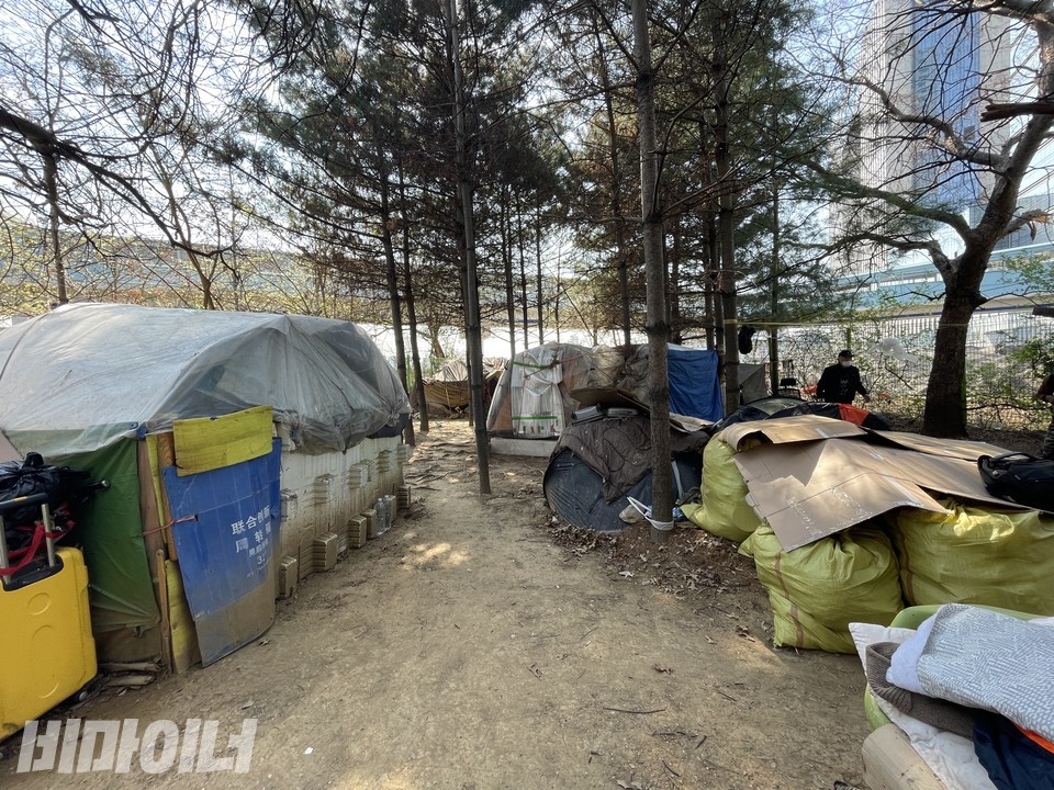 퇴거 대상인 텐트들. 사진 하민지