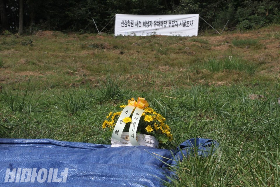과거 선감학원 피해자들을 암매장한 것으로 알려진 야산에 “미안해. 미안합니다”라고 적힌 노란 꽃 화분이 놓여 있다. 사진 하민지