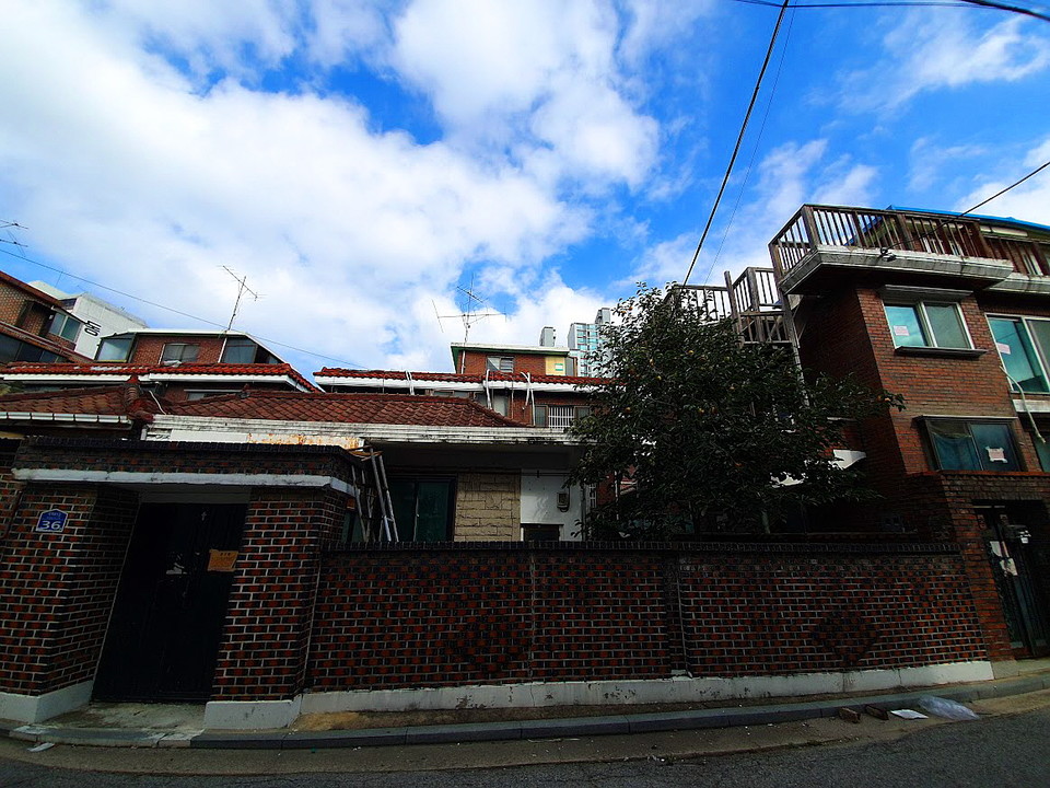 사람이 떠난 빈집들이 많지만 마당이 있는 빈집마다 감나무에 감이 열려 있다. 이처럼 대부분 멀쩡하고 예쁜 집들이었다. 사진 이원호