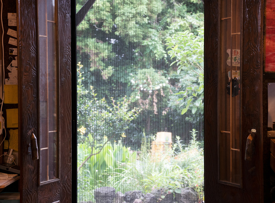 지난 7월 13일, 삼달다방의 여름. 열린 문 사이로 초록 잎사귀가 풍성한 나무들이 보인다. 사진 현다혜 