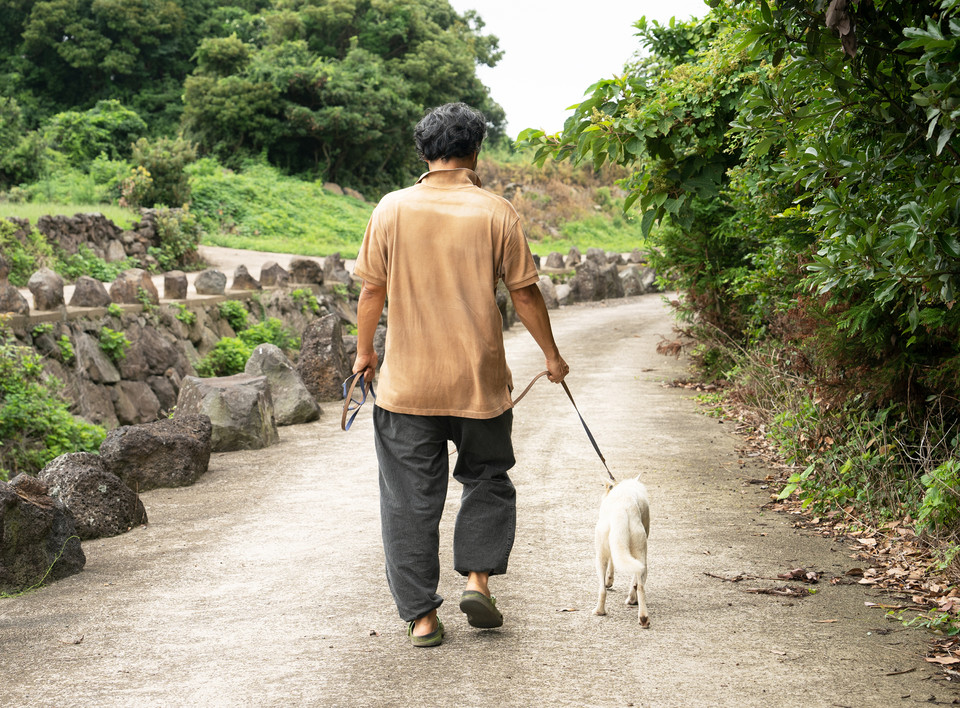 강아지 산책에 나선 이상엽의 뒷모습. 사진 현다혜