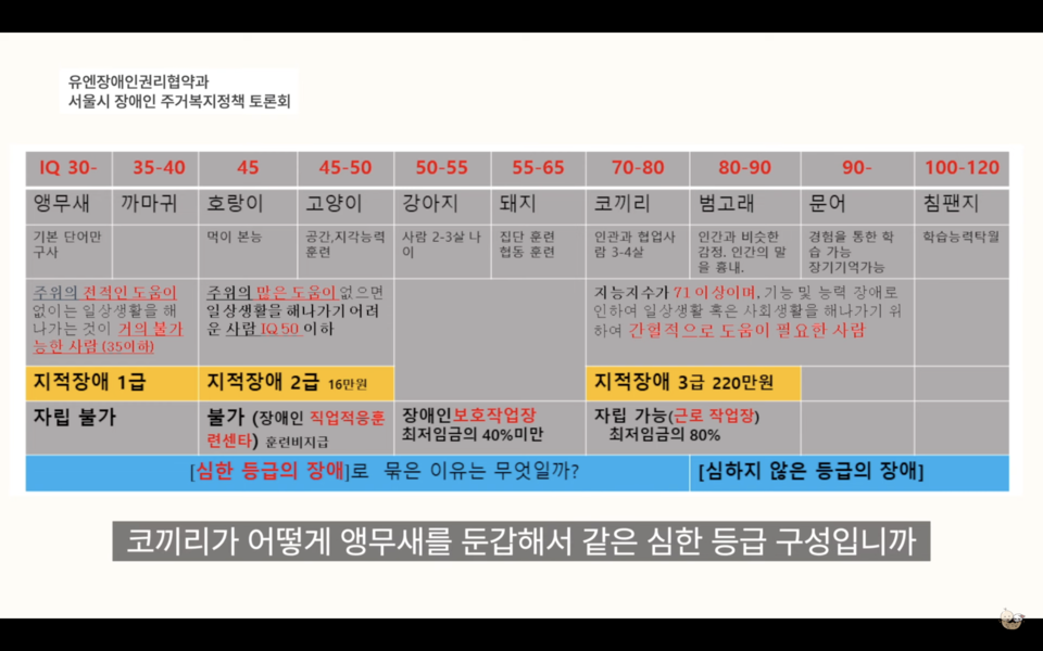 2023년 10월 26일, 이기수 신부가 토론회에서 공개한 비인간동물과 발달장애인 지능 비교 표. 유튜브 채널 ‘알TV’ 캡처