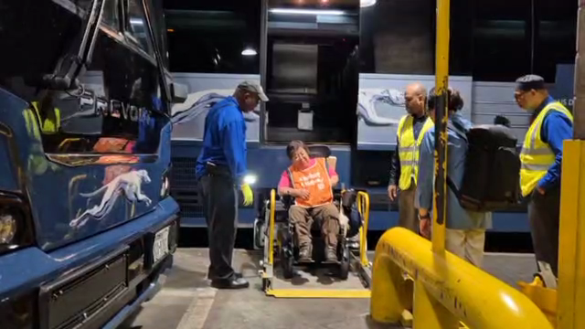 미국에서 시외고속버스를 탑승하고 있는 이형숙 한국장애인자립생활센터협의회 회장. 장거리 버스회사 그레이하운드의 차량이다.